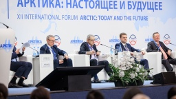 Арктика в действии