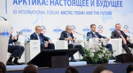 Арктика в действии