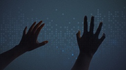 В России создали базу цифровых следов для борьбы с мошенниками. Экспертное мнение Вадима Плесского