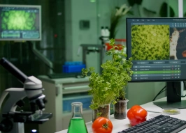 Sigur выводит на рынок инновационное решение для сельскохозяйственной отрасли