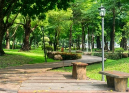 В четырех скверах Тулы установят 50 камер видеонаблюдения