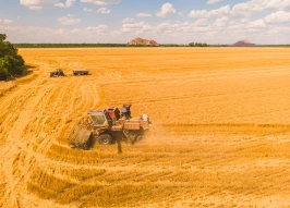 «Ингосстрах» компенсировал кировскому аграрию убытки от пожара комбайна на 46,5 млн рублей