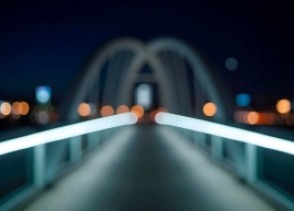 Нижний Новгород выделил 68 млн рублей на охрану более 20 мостов и путепроводов