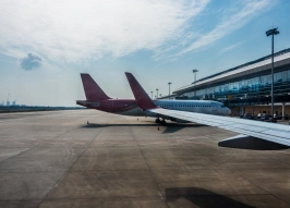 В Пулково успешно испытали систему защиты самолётов от птиц