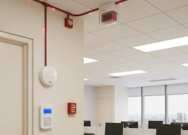 Обзор закупок за период с 1 по 31 января 2026 года