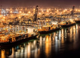 Таганрогский морской порт оштрафовали за нарушения промбезопасности и экологии