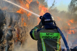 Казанские ученые разработали для пожарных зерновой батончик для снижения интоксикации от продуктов горения