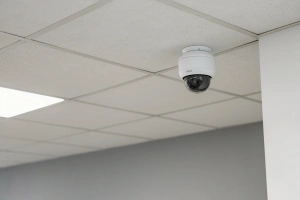Macroscop и IPTRONIC обеспечили совместимость более 200 моделей IP-камер