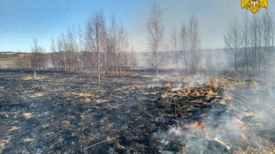 Штраф за нарушение пожарной безопасности в лесу могут увеличить в 10 раз