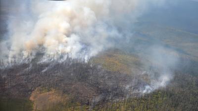 В Генпрокуратуре сообщили о случаях неэффективного тушения лесных пожаров на Дальнем Востоке