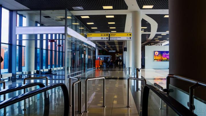 Эксперимент по использованию биометрии при посадке пассажиров на рейсы в Шереметьево отложен до 2023 года