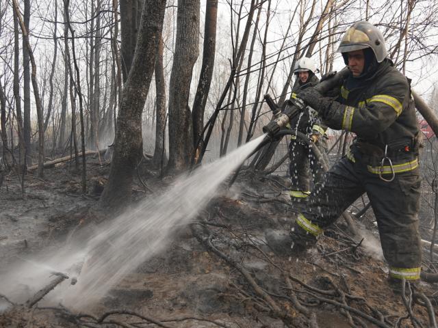 В 45 регионах зафиксированы природные пожары