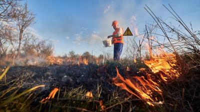 За отказ в помощи тушения пожаров пользователей лесных участков будут штрафовать