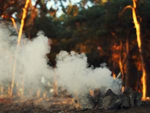 140 камер закупит Свердловская область для выявления лесных пожаров