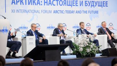 Арктика в действии