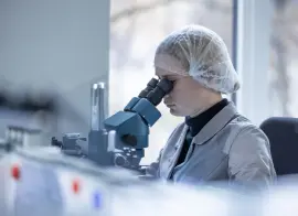 Rubetek стал лучшим работодателем России по версии Forbes в категории «Золото»