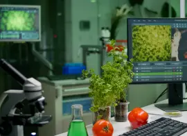 Sigur выводит на рынок инновационное решение для сельскохозяйственной отрасли