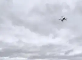 Пензенская и Новгородская области внедряют беспилотные системы в пожарную охрану лесных массивов