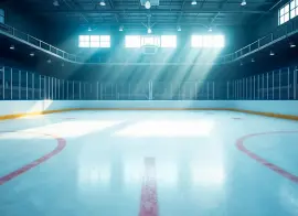 При ТК 208 создадут рабочую группу для разработки нацстандарта по обеспечению безопасности проведения спортивных мероприятий