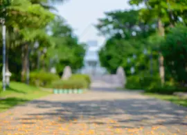 В Новосибирской области объявлены тендеры на подключение видеокамер к системе «Безопасный город»