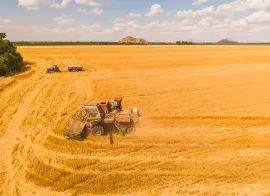 «Ингосстрах» компенсировал кировскому аграрию убытки от пожара комбайна на 46,5 млн рублей