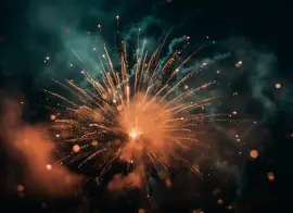 МЧС запретило хранить пиротехнику и горючие жидкости в пунктах выдачи в жилых домах