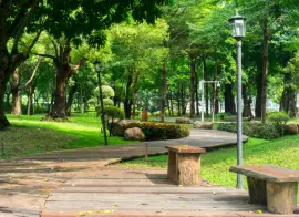 В Новороссийске в 2026 году модернизируют системы оповещения и видеонаблюдения