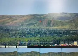 В Оренбуржье противопожарный видеомониторинг охватит весь лесной массив области