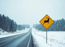 На ледовой переправе Салехард – Лабытнанги заработала система видеонаблюдения