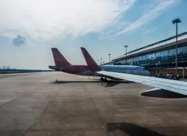 В Пулково успешно испытали систему защиты самолётов от птиц