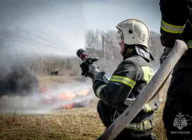 Во ВНИИПО МЧС России предложили метод повышения эффективности борьбы с лесными пожарами