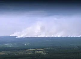 26,6 млрд рублей выделят на противопожарную охрану лесов в 2026 году из федерального бюджета