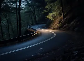 Мэрия Новосибирска планирует в 2026 году заключить контракты на оснащение системами безопасности семи транспортных объектов