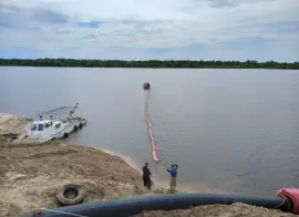 Сумма исков Росприроднадзора к бизнесу достигла 166 млрд рублей за год