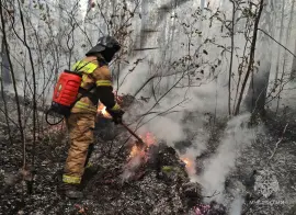 В Омской области прокуратура добивается от муниципалитетов соблюдения противопожарных норм