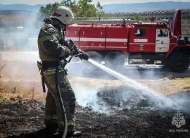«Россети» выплатят более 220 тысяч рублей расходов на тушение ландшафтного пожара в Бурятии