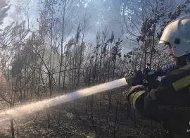 МЧС: к сезону пожаров не готовы шесть регионов России