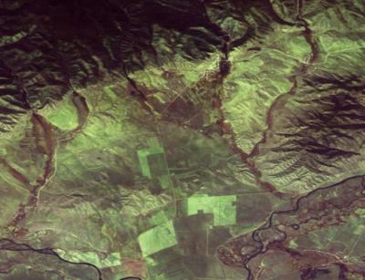 Сохранить приморский лес помогут спутниковые технологии