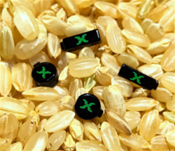Xerafy разработала сверхминиатюрную RFID-метку не больше рисового зерна