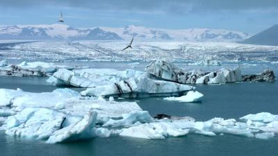 В Арктике развернут систему навигации для подводных роботов