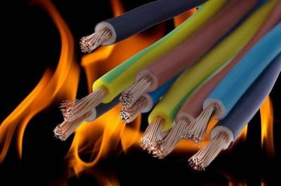 В Псковской области запустят производство огнестойкого кабеля
