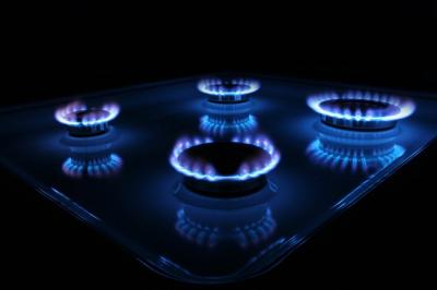 Специалисты МЧС предложили проверять газовое оборудование в квартирах каждый год