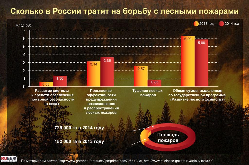 Россия не справляется с предупреждением лесных пожаров