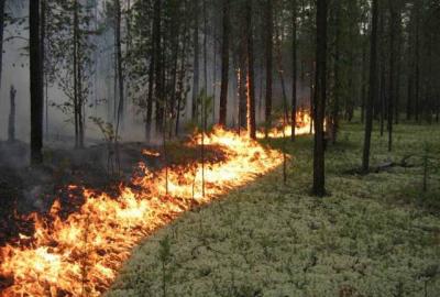 В 51 регионе России объявлен противопожарный режим