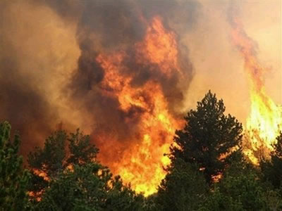 Площадь природных пожаров в Сибири выросла до 120 тысяч гектаров