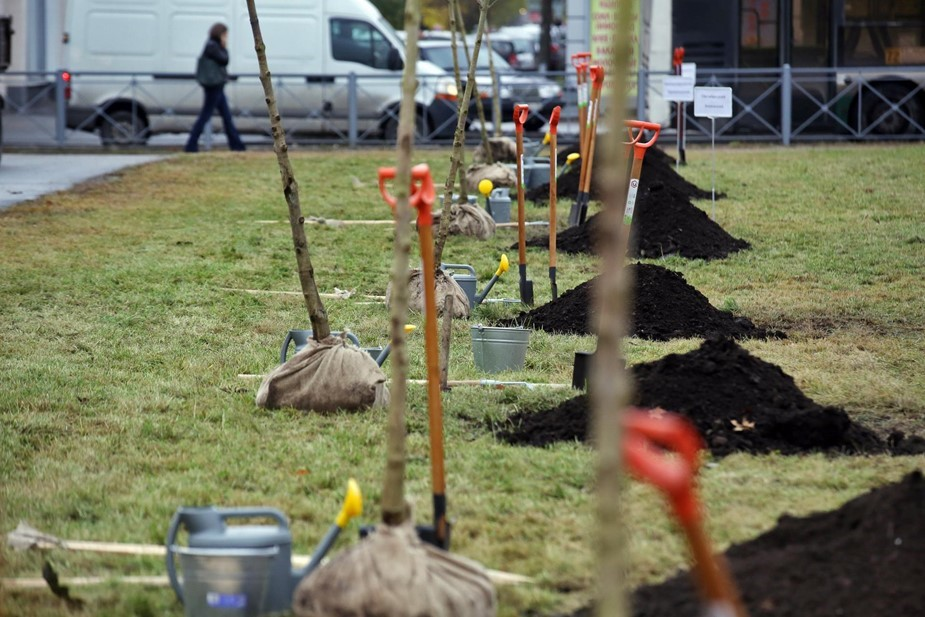 Экологическая ответственность бизнеса