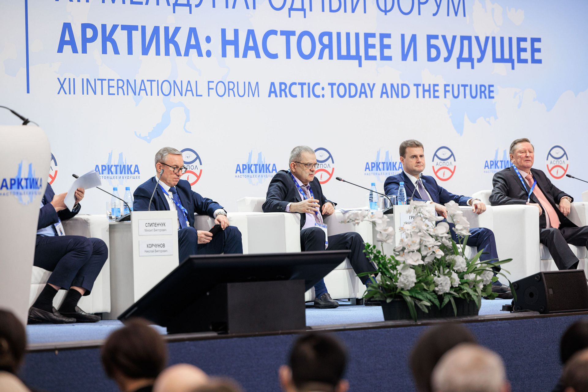 Арктика в действии